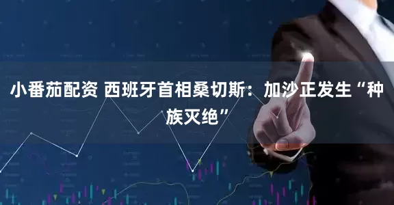 小番茄配资 西班牙首相桑切斯：加沙正发生“种族灭绝”
