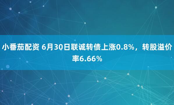 小番茄配资 6月30日联诚转债上涨0.8%，转股溢价率6.66%