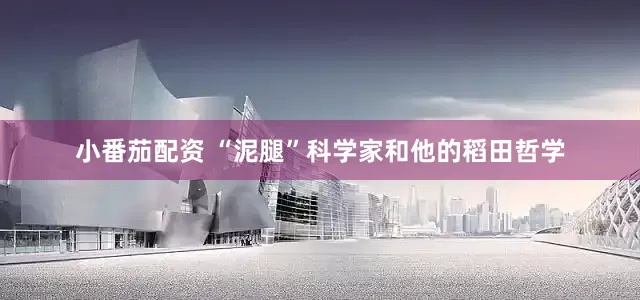 小番茄配资 “泥腿”科学家和他的稻田哲学