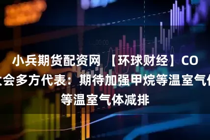 小兵期货配资网 【环球财经】COP30大会多方代表：期待加强甲烷等温室气体减排